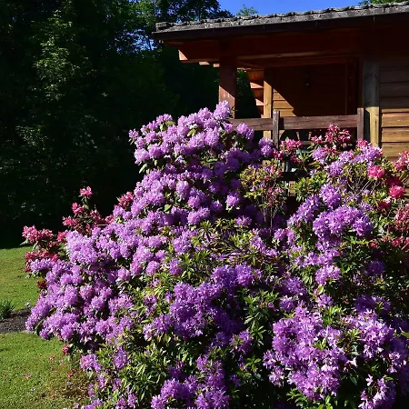 Cozy Chalet In With Garden Σαλέ